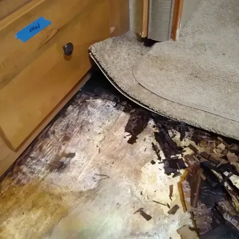 Wood Floor Water Damage in Congress, AZ